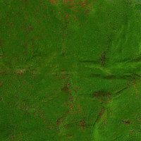  , ,  1   1 , , , Greengo