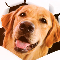   3 Take It Easy , 30 27 