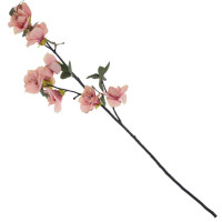 ������ ������������� ��������, L24 W12 H93 ��