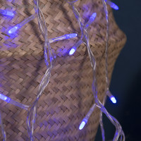   5    , Ip20,  , 50 Led,  , 8 , 220 
