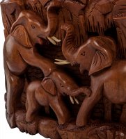 17-005      -   (, .)