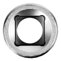   , 21 , , Crv,   1/2 Stels