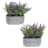 ��������� ����������,  L21 W8 H18 ��, 2�.