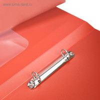   2  4, Calligrata, 25 , 700 ,    , 