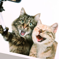   3 Take It Easy  , 30 30 