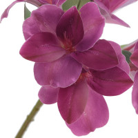 ������ ������������� ������������, L12 W12 H62 ��