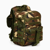   "Storm Tactic" ,  Molle, 40 ,  Woodland