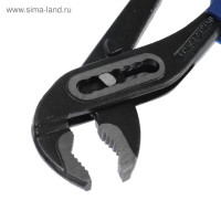   , Crv,  , 250 