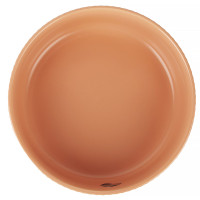  Scandi.Primerose D=20 H=8
