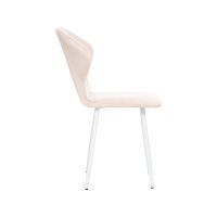 ���� Leset ����� ������