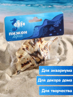 ������� ������������, 7-11 ��