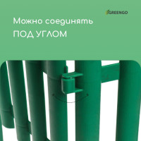 ���������� ������������, 30   300 ��, 5 ������, �������, ������, Greengo