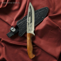  ,  ""  ,  - 4013,  , 14.5 