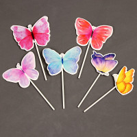 ��������� ��� ����� ��������, � ������ 6 ��.