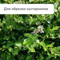  , 22.533 (5784 ), ,   , Greengo