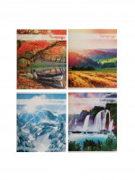  48   , Calligrata  , 