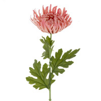    (real Touch), L20 W20 H78 