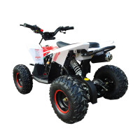 ������� ���������� ���������� Motax Gekkon 90cc 1+1 (������), ����-�������