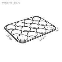  12    Tescoma Delicia,    