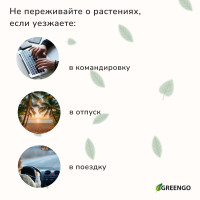      , ,  , ,  17.5 , , Greengo