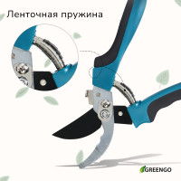  , 9 (23 ),   , , Greengo