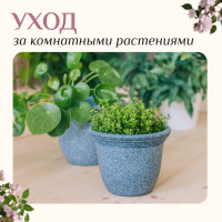   , 3 : , , ,  20 , Greengo