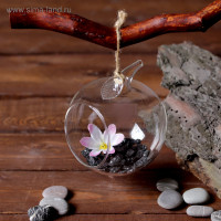 ��������� ����������, ������, � ��������, D=5.5 ��, 11 9 ��, ������, ����������