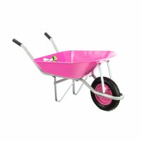   Pink Line, ,  78  Palisad