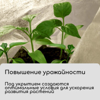  , 10 1.6 ,  30 / ,   -, , Greengo,  30%