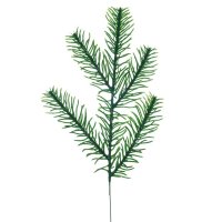  , 30 ( .)