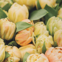 ����� ���������� �8 �����: ��������� 40 73 ��, �������