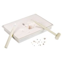 " " -      Bondibon.