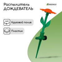 -, 33 ,  , , , , Greengo
