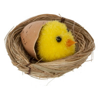 ����� �� 6 ������� ������������ ������ ����������, L17 W11,5 H4 ��