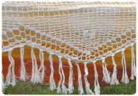   Sun Flower ()  