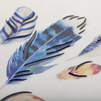  Butterfly Air, 
