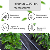  ,  , 10   1,6 ,  80 / ,   -, , Greengo,  30%