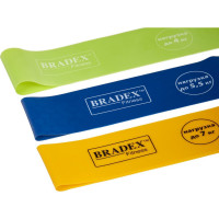   Bradex  