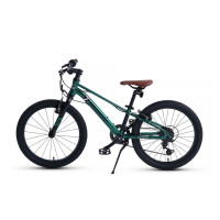  20 Maxiscoo 7bike M200,  