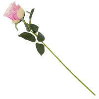      , L9 W8 H51 