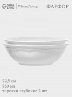 ������� �������� Wy Renessans, 850 ��, D=22.5 ��, ����� 2 ��., ������, �����