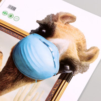 ����������� �������� 3� Take It Easy �������� � ��������, 70 50 ��