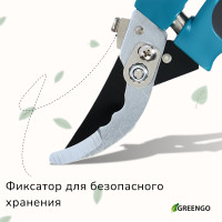  , 9 (23 ),   , , Greengo