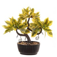 ��������� ����������, L25 W10 H25 ��, 4�.