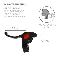 �������� ��������� ����� Dream Bike