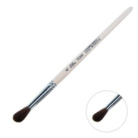   ,    6 (  6 ;   22 ),  , Calligrata