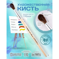   ,    6 (  6 ;   22 ),  , Calligrata