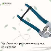 ������� �������, 7 (18 ��), � �������������� �������, ������������ �����, ������ Greengo