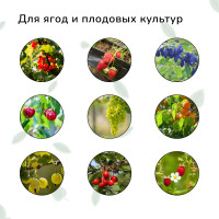  , , 5 2 ,  15 15 ,  , Greengo