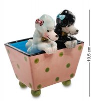 Cms-03/ 8  -  (pavone)